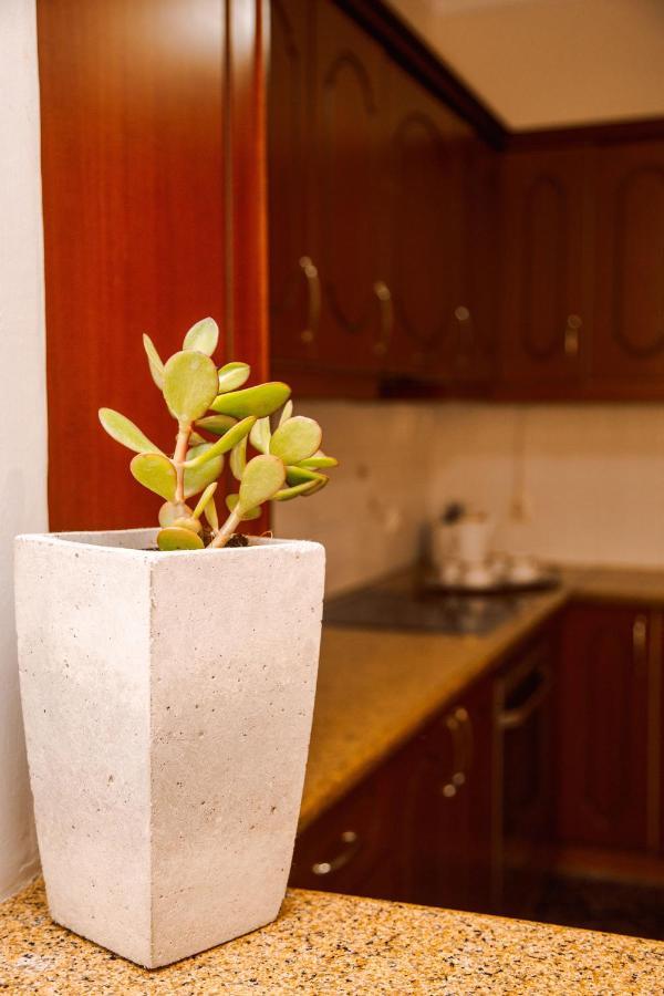 Oasis Zante Apartment Ngoại thất bức ảnh